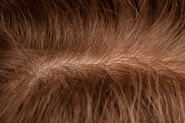 hair close up image